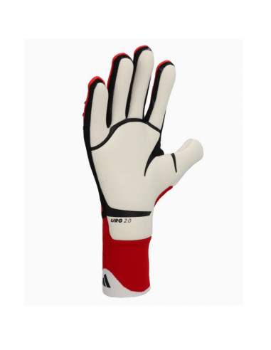 Rękawice bramkarskie adidas predator pro m