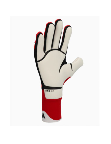 Rękawice bramkarskie adidas predator pro m