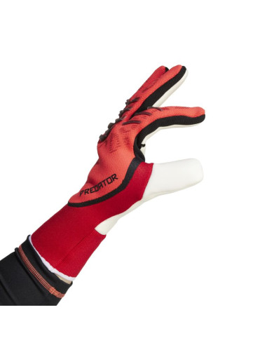 Rękawice bramkarskie adidas predator pro m