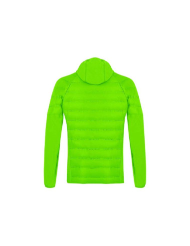 Salewa agner hybrid rds dwn m jkt 028018-5641 pale frog