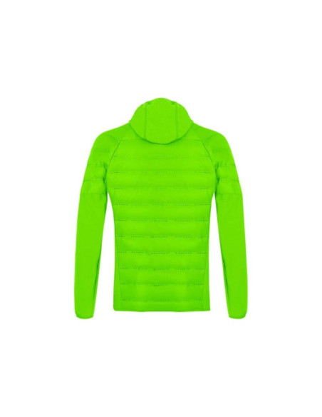 Salewa agner hybrid rds dwn m jkt 028018-5641 pale frog