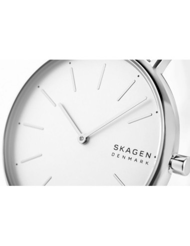 Zegarek damski skagen signatur skw2785 + box