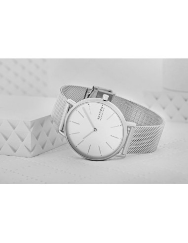Zegarek damski skagen signatur skw2785 + box