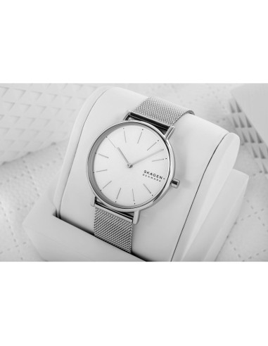 Zegarek damski skagen signatur skw2785 + box