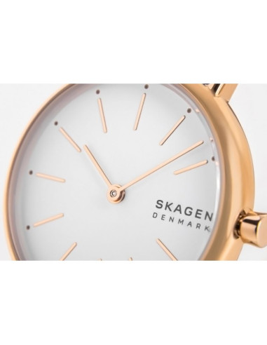 Zegarek damski skagen signatur skw2838 + box