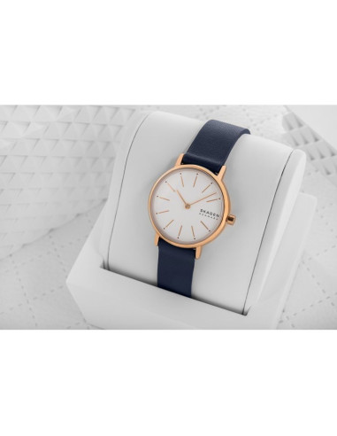 Zegarek damski skagen signatur skw2838 + box