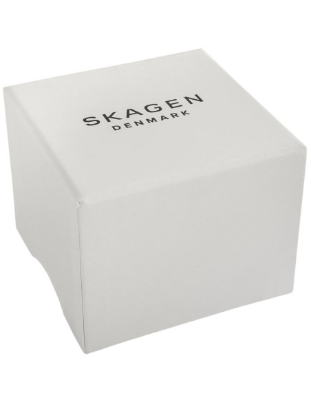 Zegarek damski skagen signatur skw2838 + box