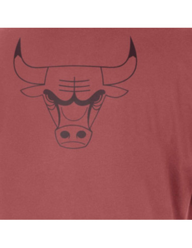 Koszulka męska t-shirt nike jordan chicago bulls courtside statement edition - hf5431-691