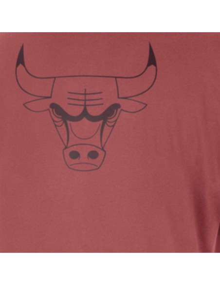 Koszulka męska t-shirt nike jordan chicago bulls courtside statement edition - hf5431-691