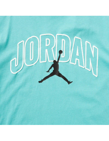 Koszulka męska air jordan brooklyn arch logo t-shirt washed teal - ib7347-392