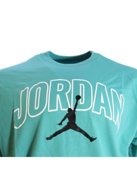 Koszulka męska air jordan brooklyn arch logo t-shirt washed teal - ib7347-392