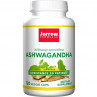 Ashwagandha KSM-66 (120 kaps.)