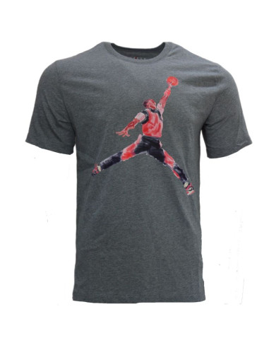 Koszulka sportowa air jordan brand graphic t-shirt męska szara- fn5980-091