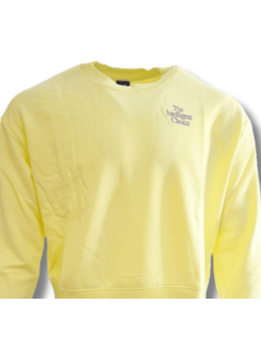 Bluza damska new balance athletics ic crewneck sweatshirt 2 - wt13562-say