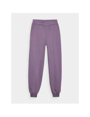 Spodnie dresowe joggery damskie 4f 4fraw24ttrof1151-50s
