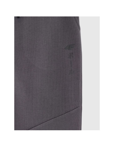 Spodnie dresowe joggery chłopięce 4f 4fjraw25ttrom1663-22s