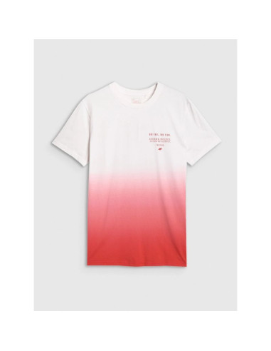 T-shirt regular z nadrukiem męski 4f 4fraw25ttshm3226-62s