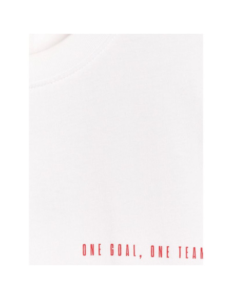 T-shirt regular z nadrukiem męski 4f 4fraw25ttshm3226-62s