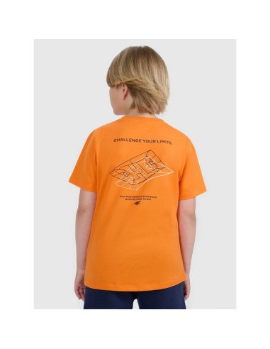 T-shirt regular z nadrukiem chłopięcy 4f 4fjwaw25ttshm2415-70s