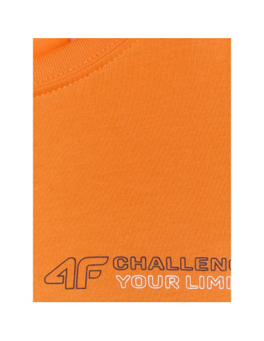 T-shirt regular z nadrukiem chłopięcy 4f 4fjwaw25ttshm2415-70s