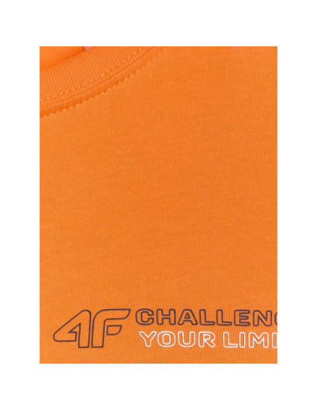 T-shirt regular z nadrukiem chłopięcy 4f 4fjwaw25ttshm2415-70s