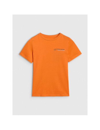 T-shirt regular z nadrukiem chłopięcy 4f 4fjwaw25ttshm2415-70s