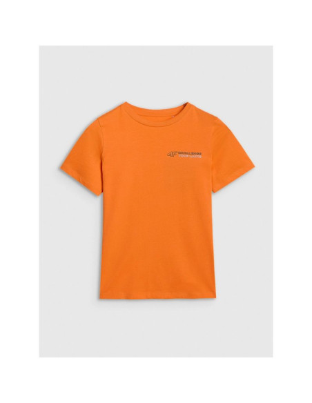 T-shirt regular z nadrukiem chłopięcy 4f 4fjwaw25ttshm2415-70s