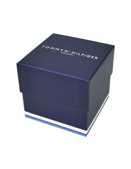 Zegarek męski tommy hilfiger daniel brązowy - 1710379