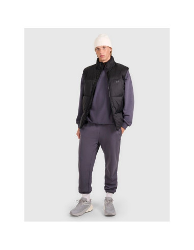 Bezrękawnik puchowy z wypełnieniem syntetycznym męski 4f 4fwaw25tvjam229-20s