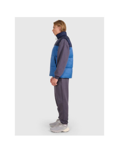 Bezrękawnik puchowy z wypełnieniem syntetycznym męski 4f 4fwaw25tvjam229-030s