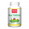 Milk Thistle - Ostropest Plamisty (100 kaps.)