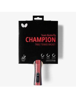 Rakietka butterfly team champion 2