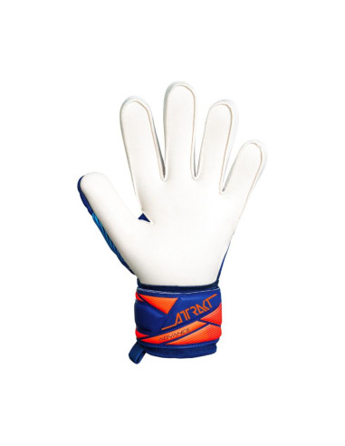 Rękawice bramkarskie reusch attrakt advance niebieskie 5670215 4126