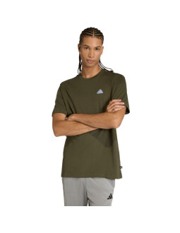 Koszulka męska adidas color icon graphic oliwkowa kt4448