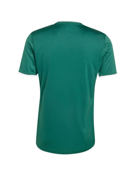 Koszulka męska adidas entrada 26 jersey zielona ke9832