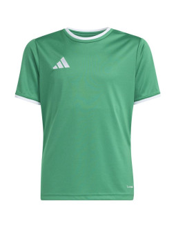 Koszulka dla dzieci adidas entrada 26 jersey zielona jz2528