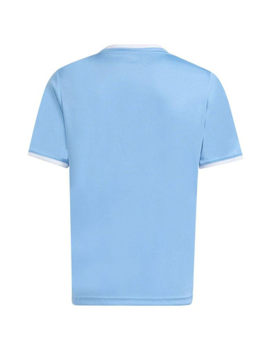 Koszulka dla dzieci adidas entrada 26 jersey błękitna jz2527