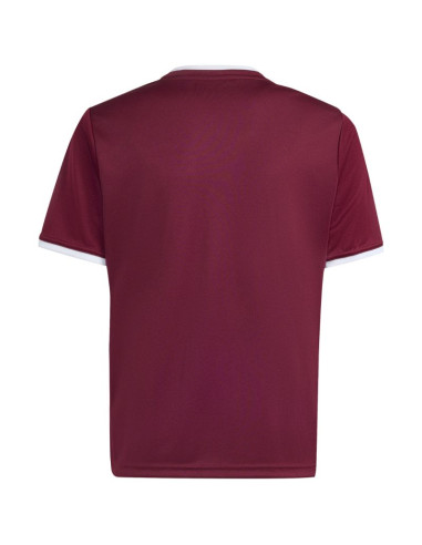 Koszulka dla dzieci adidas entrada 26 jersey bordowa jz2530
