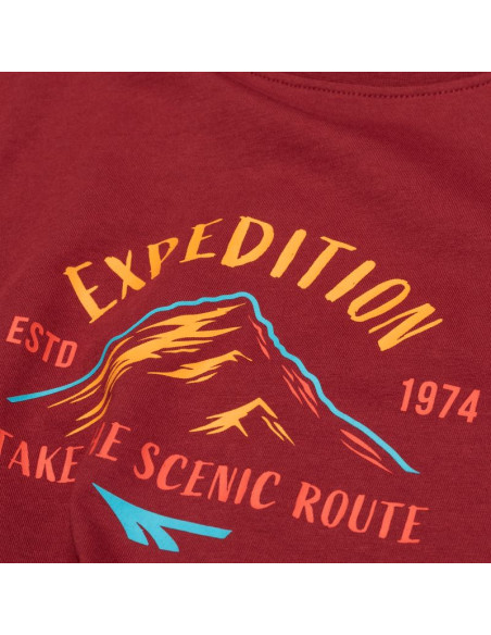 Męska koszulka z krótkim rękawem hatricko sp