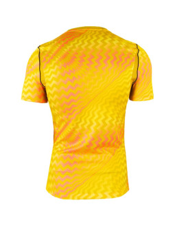 Koszulka męska nike dri_fit gardien vi goalkeeper żółta hv8301 718 2
