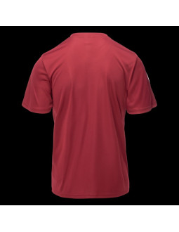 Męska koszulka z krótkim rękawem salan 2