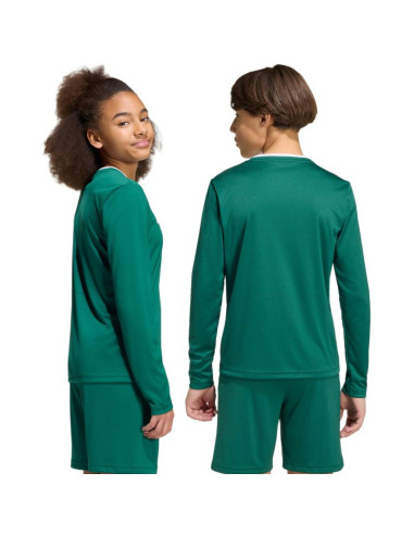 Koszulka dla dzieci adidas entrada 26 long sleeve jersey zielona kf5873