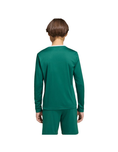 Koszulka dla dzieci adidas entrada 26 long sleeve jersey zielona kf5873