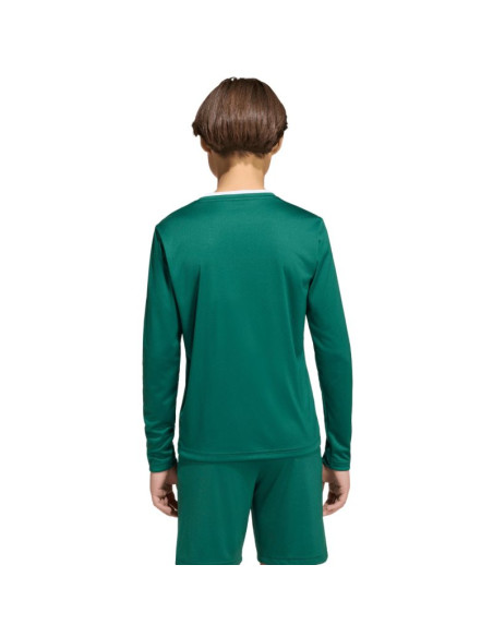 Koszulka dla dzieci adidas entrada 26 long sleeve jersey zielona kf5873