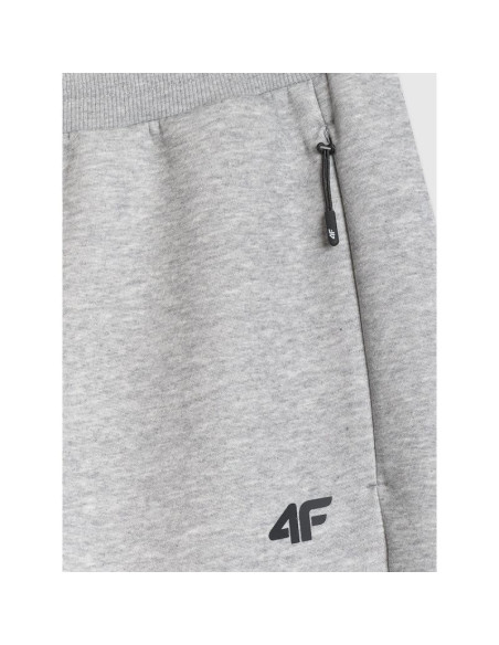 Spodnie dresowe joggery męskie 4f 4frmm00ttrom1623-27m