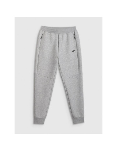 Spodnie dresowe joggery męskie 4f 4frmm00ttrom1623-27m