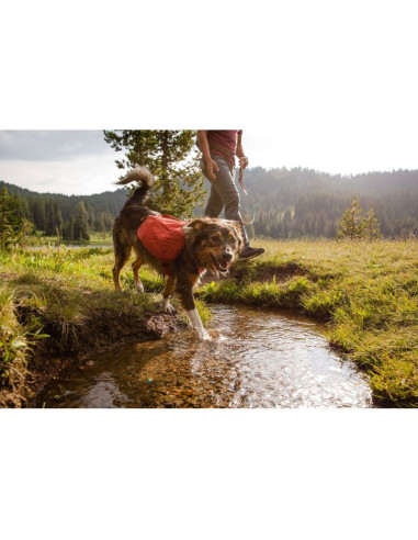 Plecak dla psa ruffwear front range day pack - blue moon rozmiar: xs