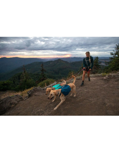 Plecak dla psa ruffwear front range day pack - blue moon rozmiar: xs