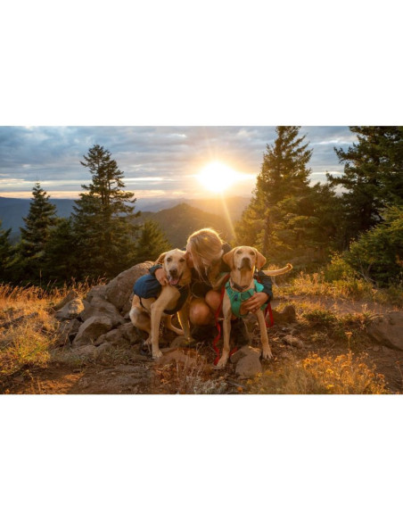 Plecak dla psa ruffwear front range day pack - blue moon rozmiar: xs