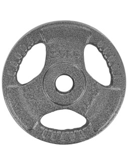 Obciążenie hammertone 2,5 kg enero fit fi26,5 2